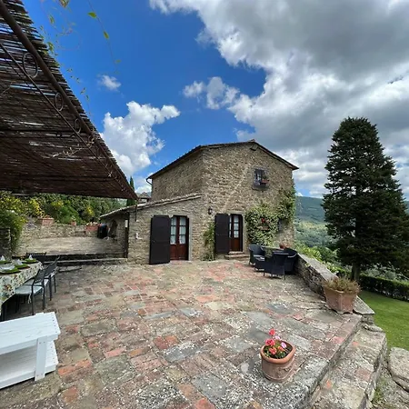 Patrizia Vila Cortona