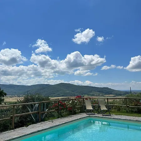 Patrizia Villa *