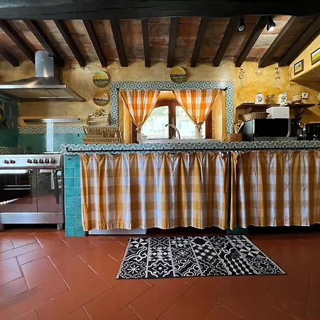 Patrizia Villa *