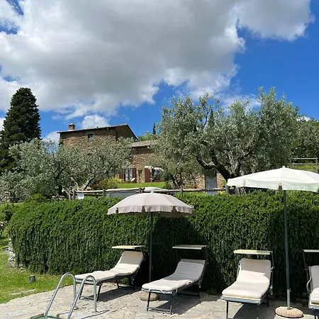 Patrizia Cortona
